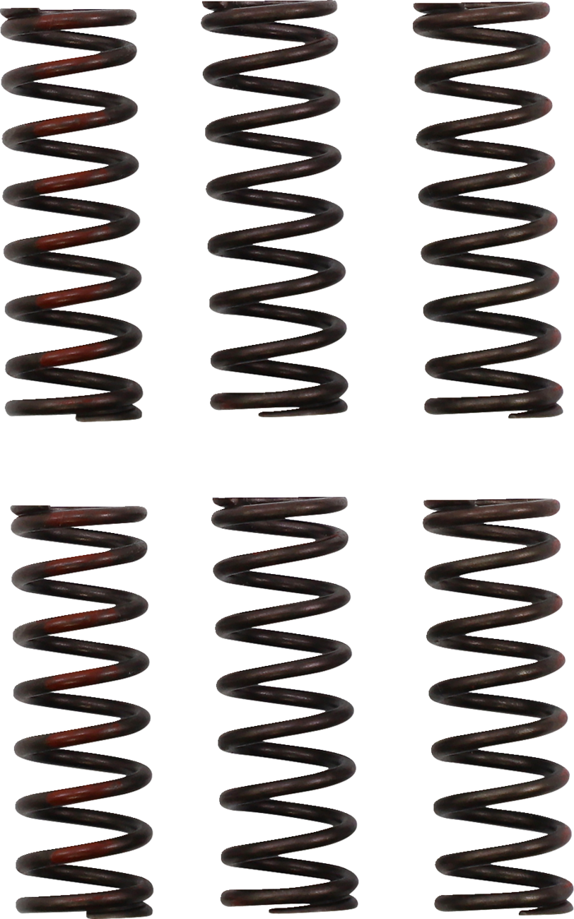PRO CIRCUIT Clutch Springs - CRF 450R