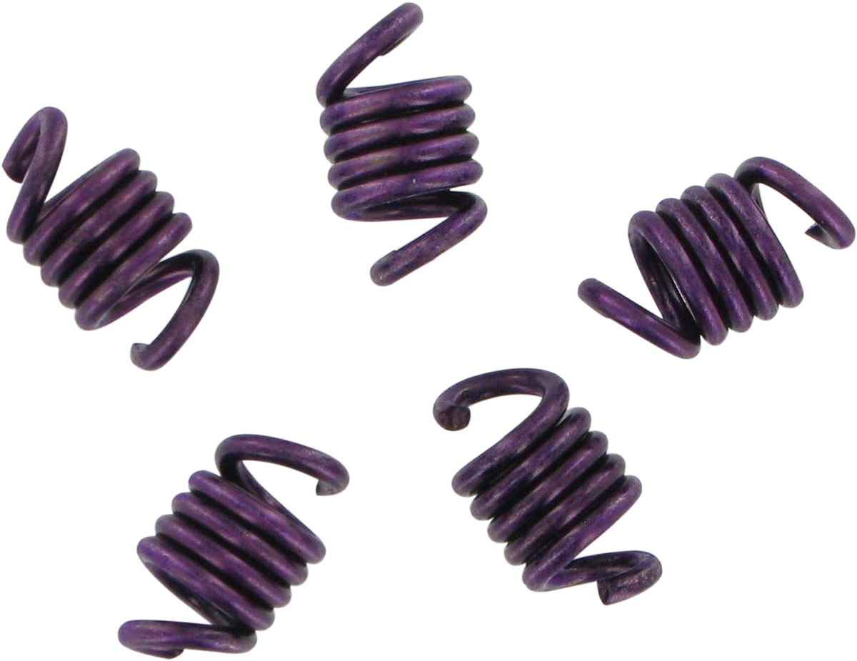 EPI Economy Clutch Kit - TRX400