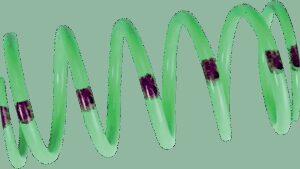 VENOM PRODUCTS Primary Spring