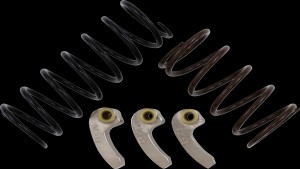 Shopping Cart, Shopping Cart