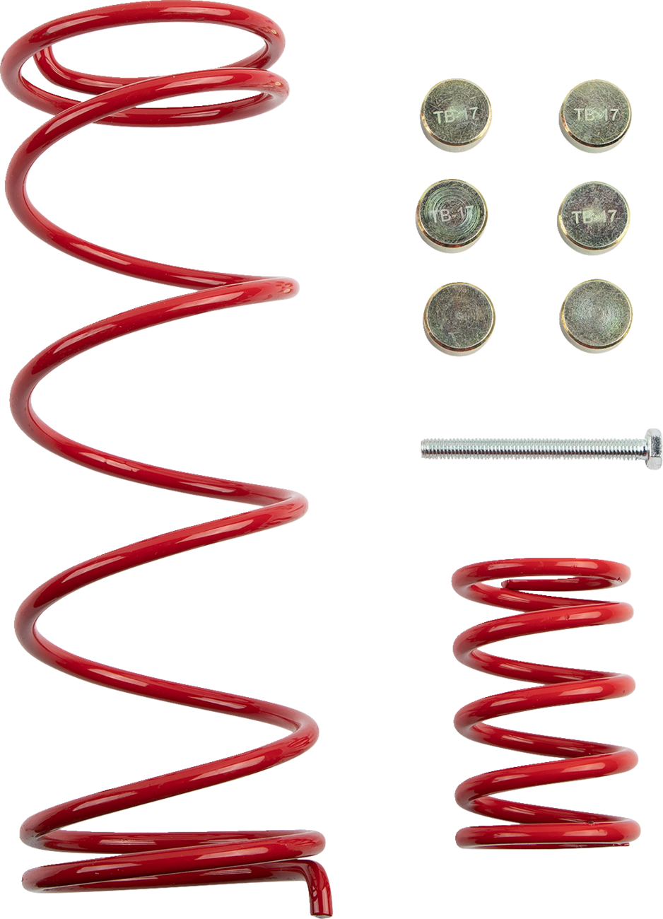 EPI Mud Clutch Kit - Polaris - Image 2