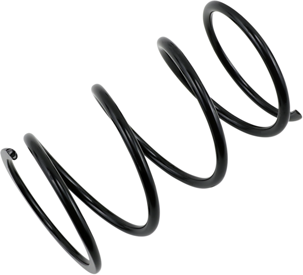 BIKEMAN PERFORMANCE Secondary Clutch Spring - Image 2