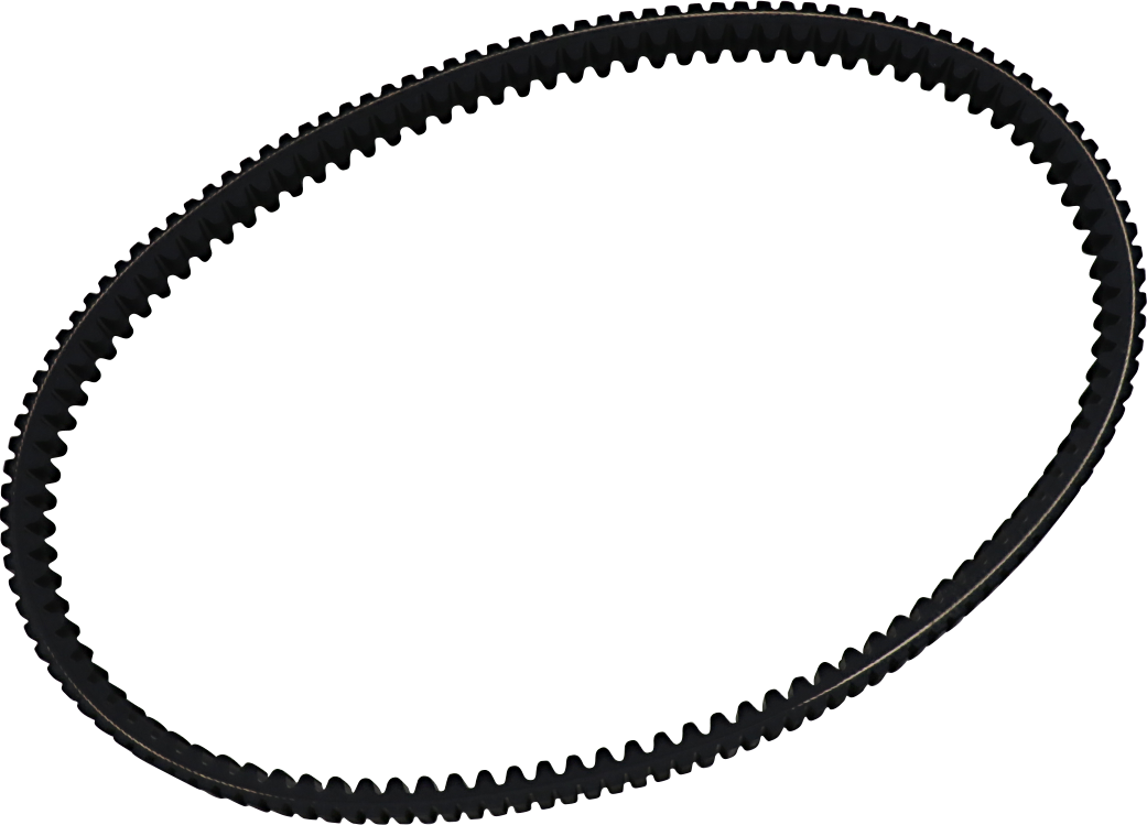 DAYCO PRODUCTS,LLC Drive Belt - Image 2