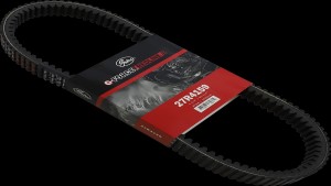 Shopping Cart, Shopping Cart