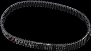 Shopping Cart, Shopping Cart