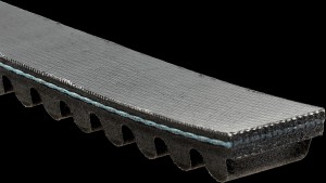 Shopping Cart, Shopping Cart