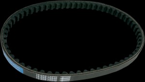 Shopping Cart, Shopping Cart