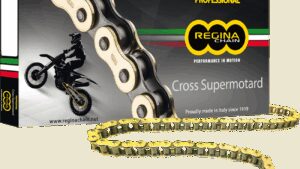 REGINA 520 RH2 - Drive Chain - 116 Links