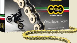 REGINA 520 RH2 - Drive Chain - 120 Links