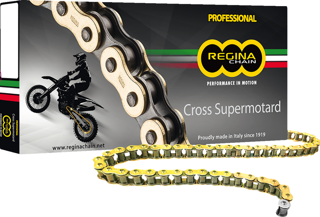 REGINA 520 RX3 - Drive Chain - 100 Links