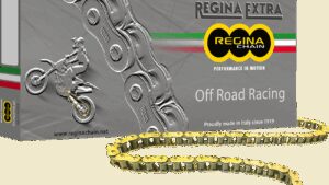 REGINA 520 GPXV - Drive Chain - 120 Links