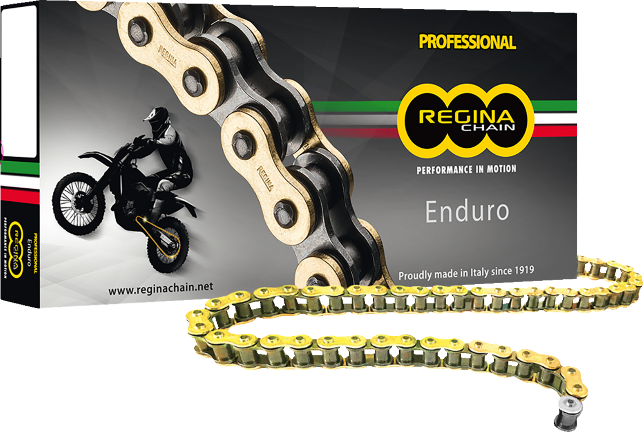 REGINA 520 ZSE - Drive Chain - 118 Links