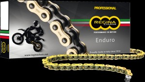 REGINA CHAIN 428 ZSE X 120 LINKS