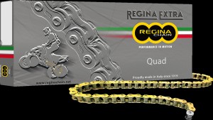 REGINA CHAIN 520QUAD X 78 LINKS