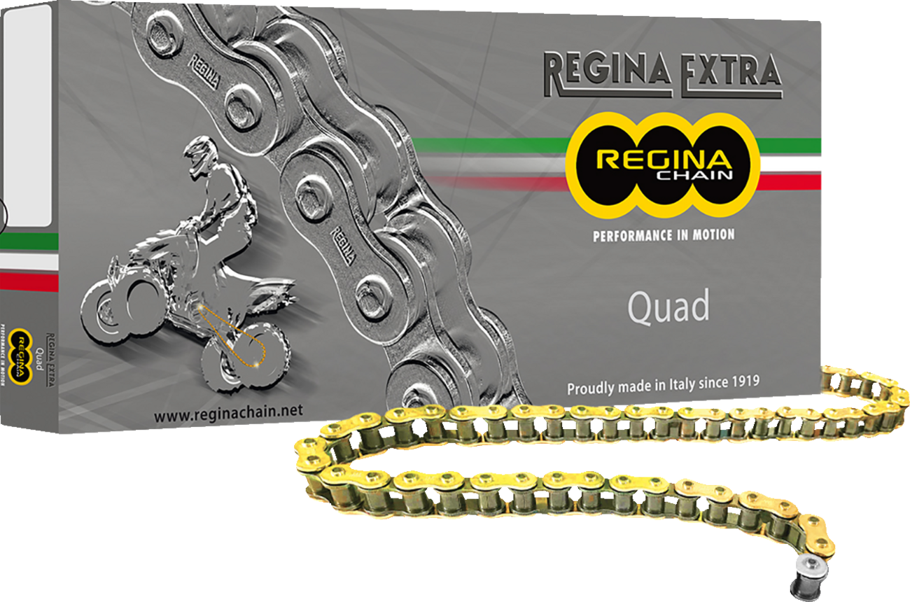 REGINA 520 Quad - Drive Chain - 96 Links