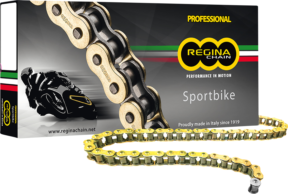 REGINA 530 ZRP - Drive Chain - 120 Links