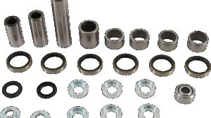 PIVOT WORKS Swingarm Bearing Kit - Beta