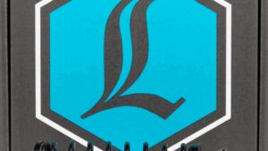 LEGEND SUSPENSION REVO-A Shocks - 12" - Black - Heavy Duty