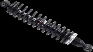 Shopping Cart, Shopping Cart