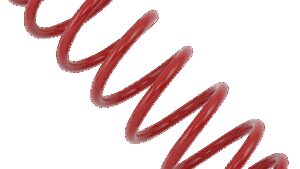 EPI Rear Spring - Heavy Duty - Red - Spring Rate 125 lb/in