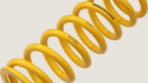 FACTORY CONNECTION Shock Spring - Rear - Spring Rate 319.19 lb/in