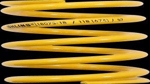 Shopping Cart, Shopping Cart