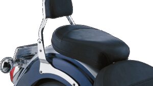 COBRA Sissy Bar - Mini - 750 Aero