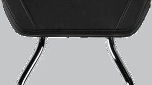 COBRA Sissy Bar - Short - Chrome - VT 750