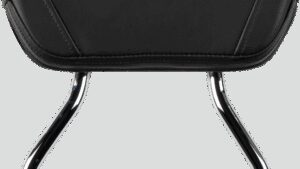 COBRA Sissy Bar - Short - Chrome - Roadliner