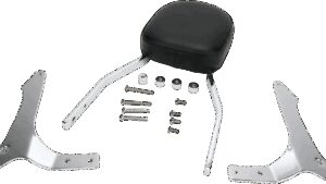 COBRA Sissy Bar - Standard - Raider