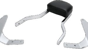 COBRA Sissy Bar - Short - Raider