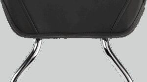 COBRA Sissy Bar - Short - Chrome - Raider