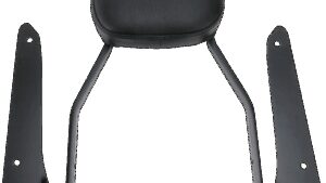 COBRA Sissy Bar - Standard - Shadow Phantom