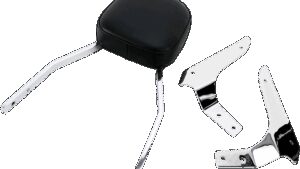 COBRA Sissy Bar - Standard - Stryker