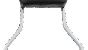 COBRA Sissy Bar - Short - Stryker