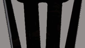 COBRA Sissy Bar Luggage Rack - Black - Formed