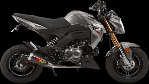 Shopping Cart, Shopping Cart