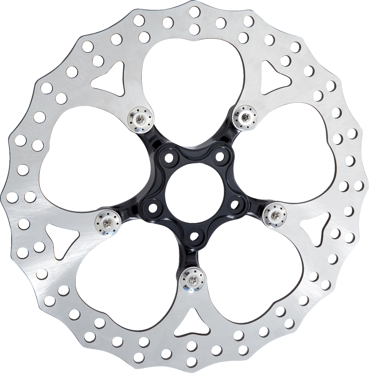 ARLEN NESS Spider Rotor - 14" - Black