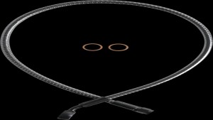 Shopping Cart, Shopping Cart