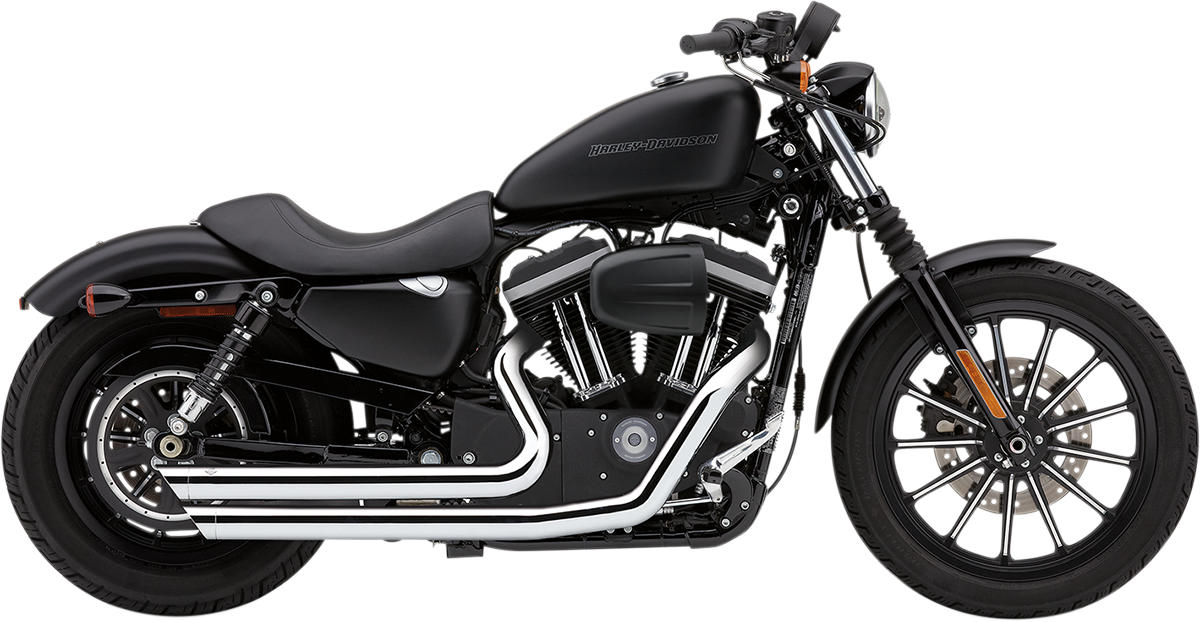 BASSANI XHAUST 2:1 Exhaust - Stainless Steel - Megaphone - Image 2