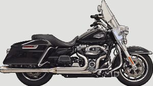 BASSANI XHAUST 50th Anniversary 2:1 Exhaust - Stainless Steel - M8 FL