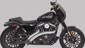 BASSANI XHAUST Radial Sweepers Exhaust System - Chrome