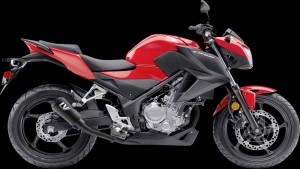 Shopping Cart, Shopping Cart