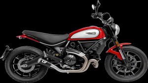 Shopping Cart, Shopping Cart