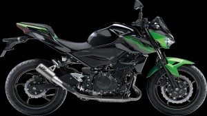 Shopping Cart, Shopping Cart