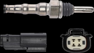 Shopping Cart, Shopping Cart