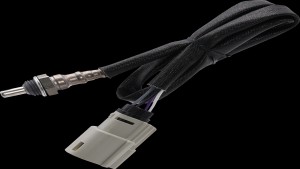 Shopping Cart, Shopping Cart