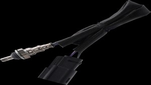 Shopping Cart, Shopping Cart