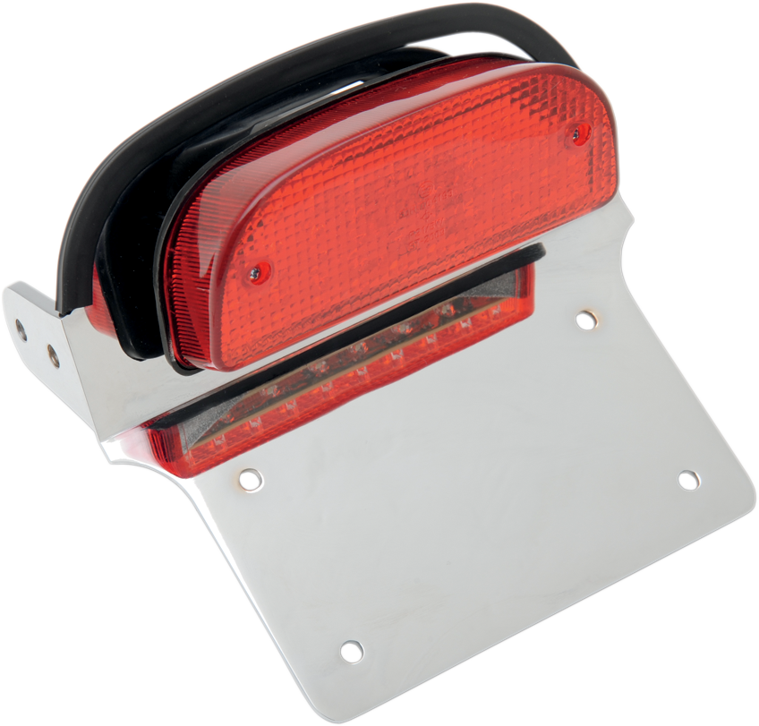 RICK DOSS Taillight/License Plate Assembly - Harley Davidson
