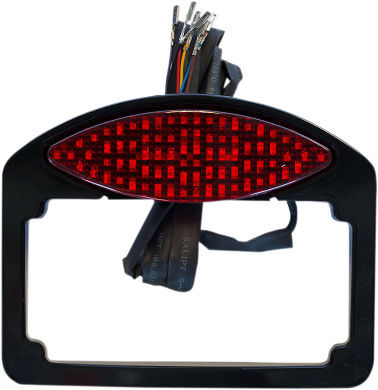 RWD V-TWIN Taillight/Turn Signal/ License Plate Kit - Black